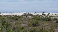 Westcoast nat park