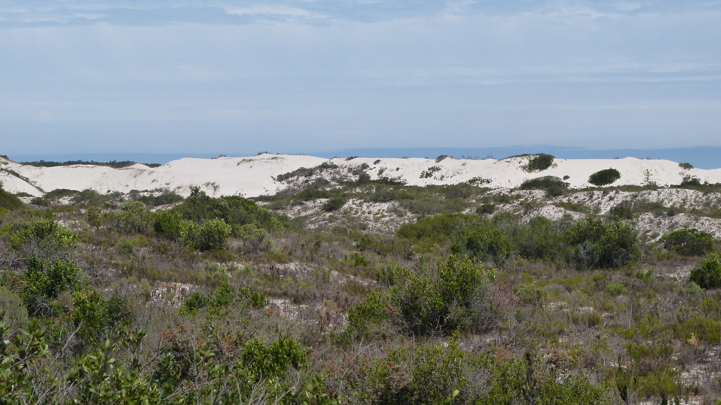 Westcoast nat park