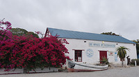 Paternoster