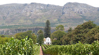 Wineestate Buitengewoon