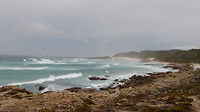 Capepoint nat.park