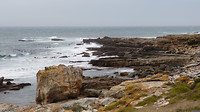 Capepoint nat.park