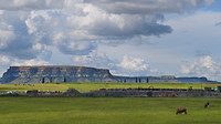 landschap