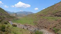 landschap