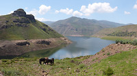 Katsedam