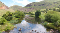 rivier