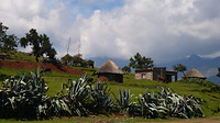 dorp met agaves