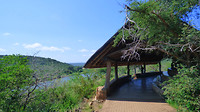 hide bij de rivier