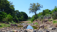 rivier