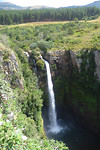 Mac Macfalls
