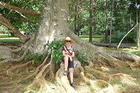 Botanische tuin
