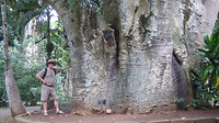 Botanische tuin