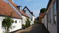 Ribe