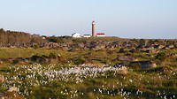 vuurtoren