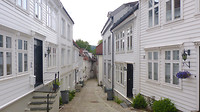 witte houten huisjes