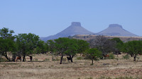 Karoo