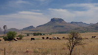 Karoo