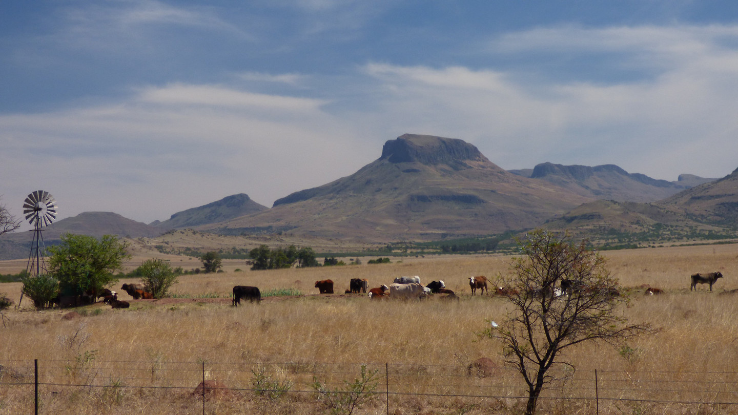 Karoo