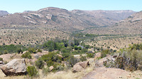 Mountain zebrapark