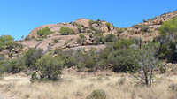 Mountain zebrapark