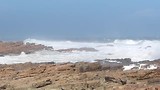 Vuurtoren Jeffreys Bay