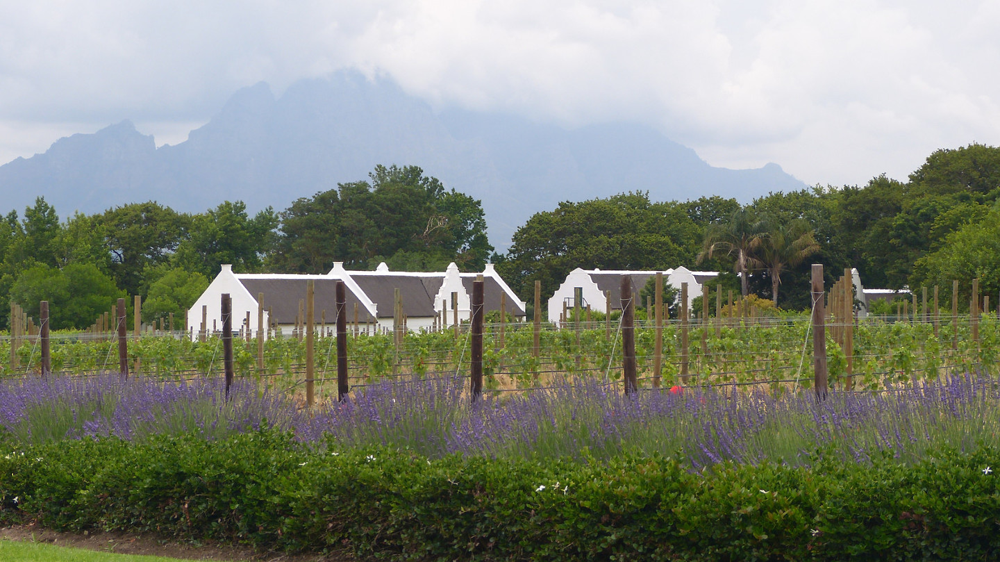 la Motte wineestate Foto Enjoytheworld