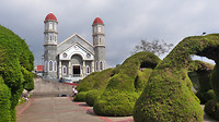 Zarcero