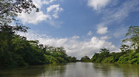 Cano Negro