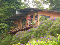 Nepenthe guesthouse