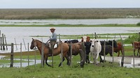 Ibera nat park