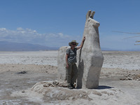 Lama van zout