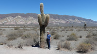 bij de cactus