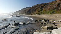 baai