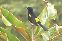 P1450924