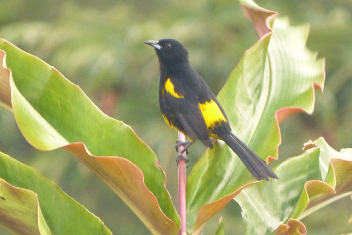P1450924