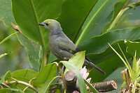 P1460356