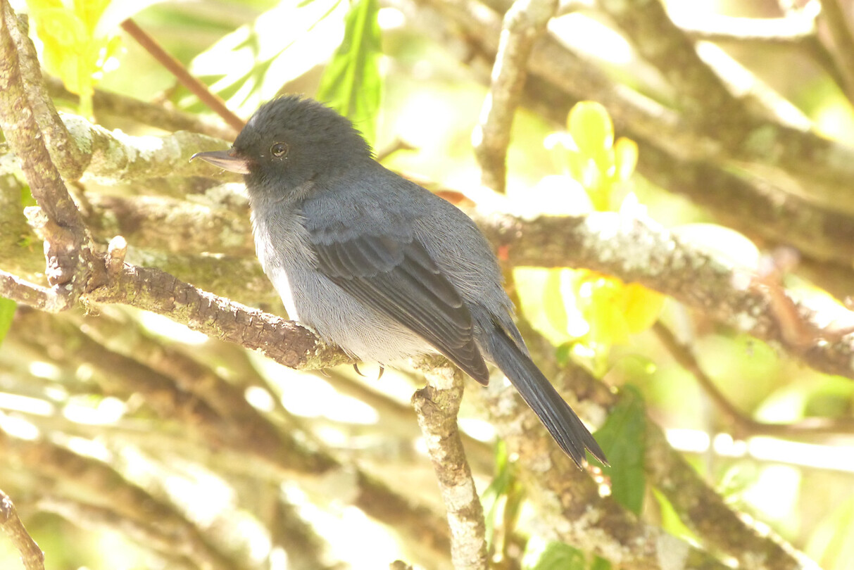 P1460853