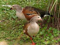 P1170830