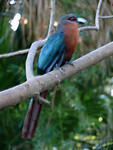 P1180405a