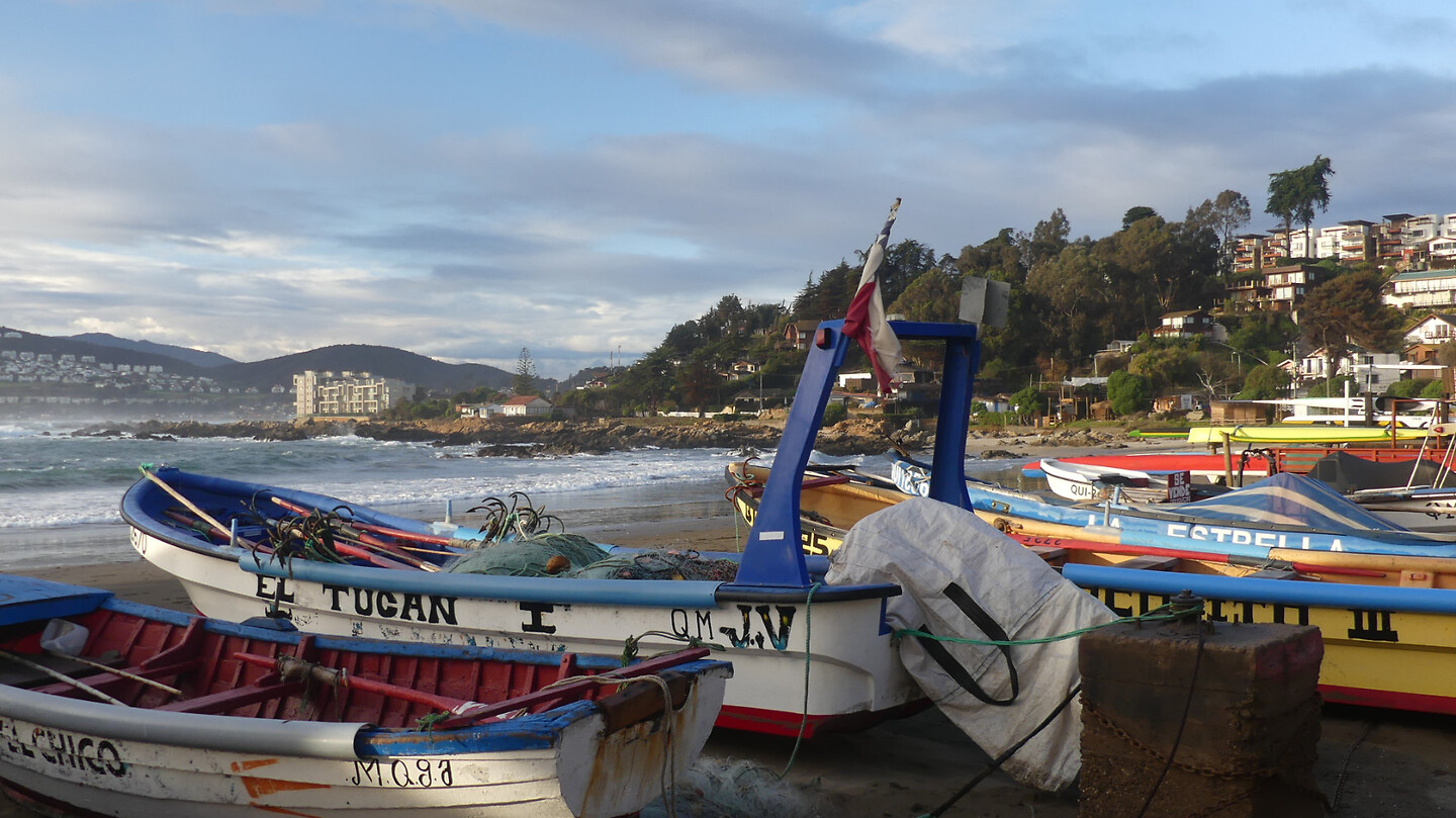 haven