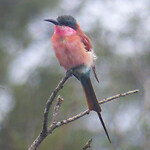 P1000392a