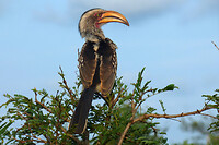 P1000476a