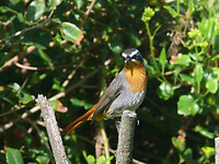P1000655