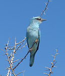 P1000831a