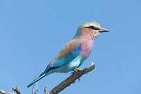 P1000838