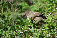 P1010047
