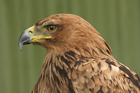 P1010410