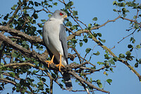 P1010781