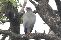 P1010790