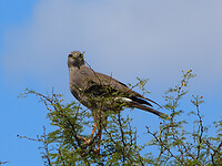 P1020876